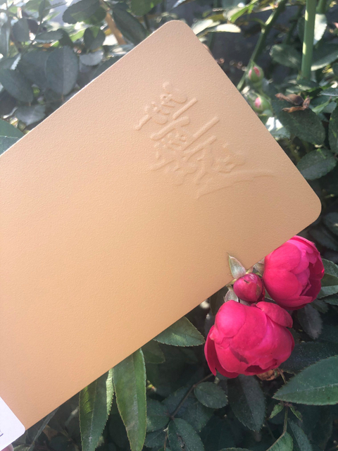 Ral 7035 رمادي ممتاز لمقاومة الطقس ولمعان/ملمس نهائي من مساحيق طلاء البوليستر